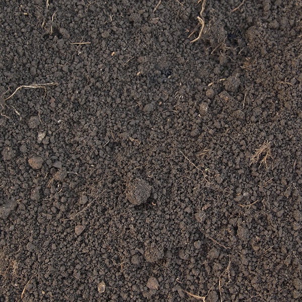 look for top soil that is dark and rich in organic matter, which indicates higher quality